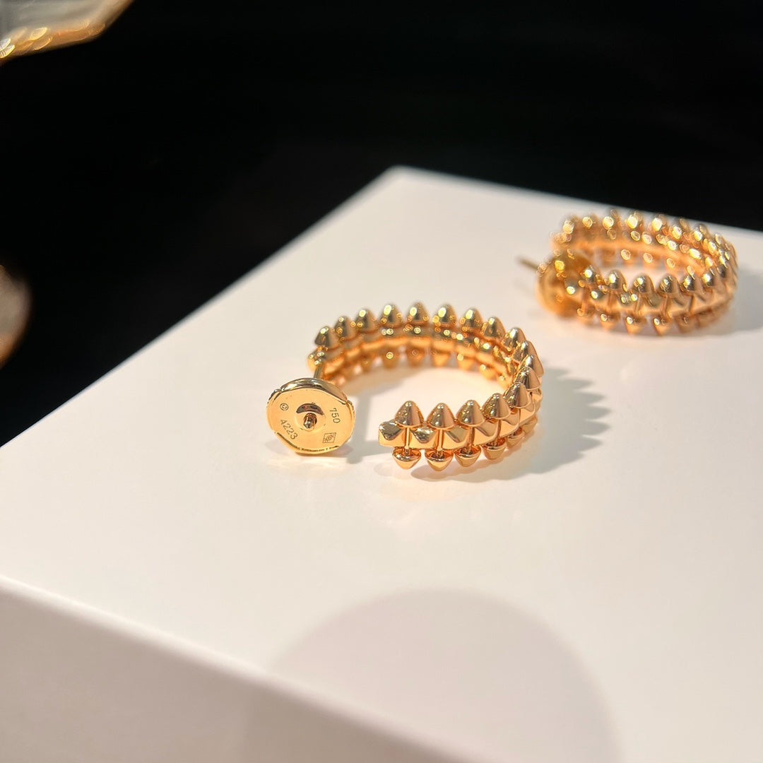 [Garvey ]CLASH EARRINGS