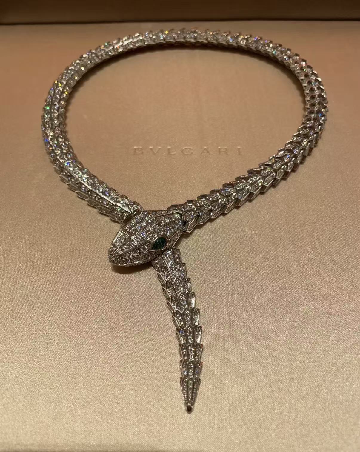 [Garvey]SERPENTI LARGE SIZE SNAKE NECKLACE